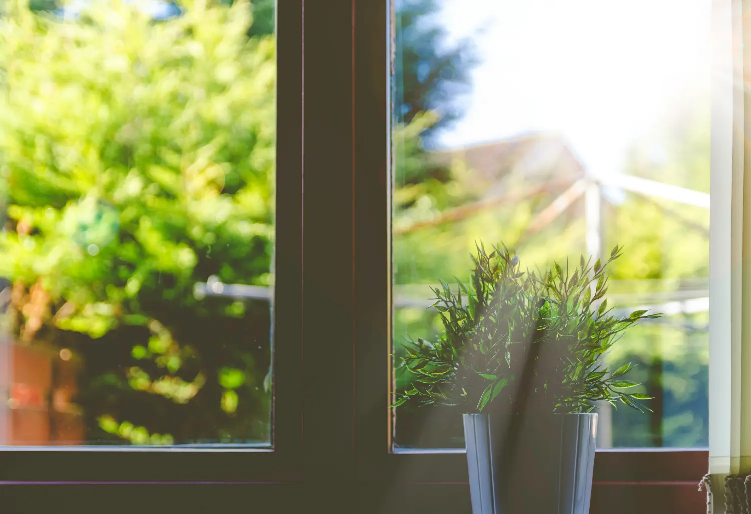 Potted green plant sits on a windowsill, catching sunlight; outside the window a blurred sunlit garden and laundry lines form a verdant backdrop.